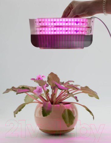 Изображение товара Светильник для растений Glanzen RPD-0001-60-Grow