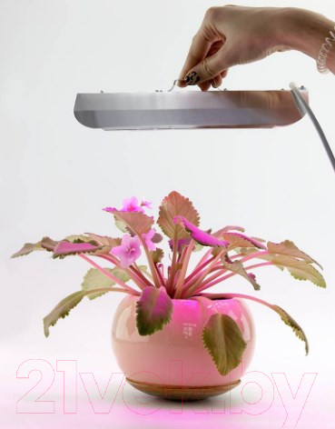 Изображение товара Светильник для растений Glanzen RPD-0001-60-Grow