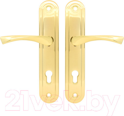 Изображение товара Ручка дверная Avers HP-85.0423-G (золото)