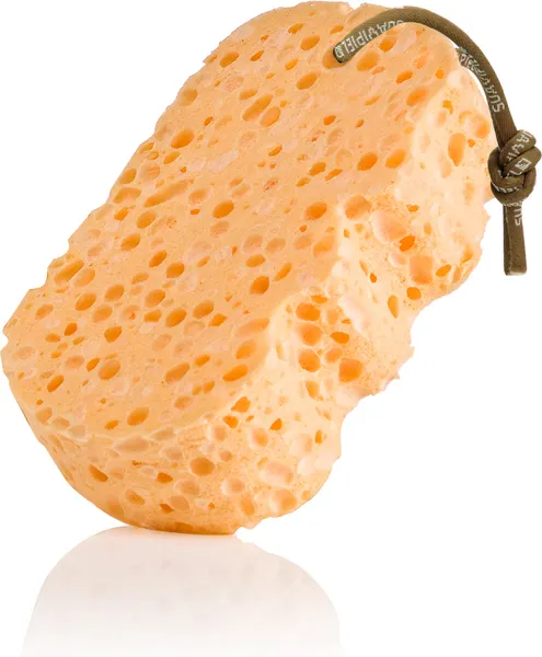 Изображение товара Губка для тела Suavipiel Natural Vegetal Sponge