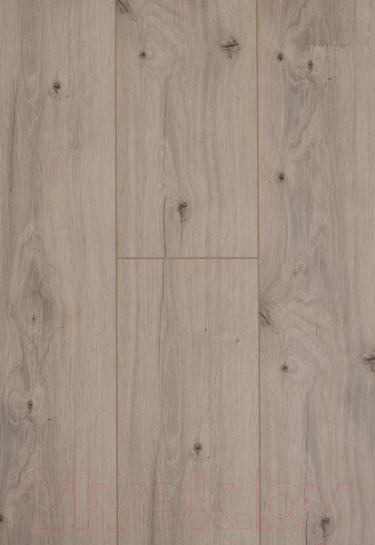 Изображение товара Ламинат Kastamonu Floorpan Emerald Дуб магеллан (FP0559)