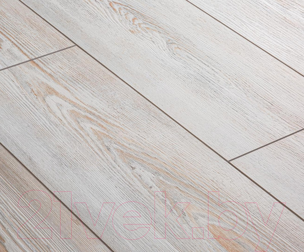 Изображение товара Ламинат Kastamonu Floorpan Emerald Сосна монтана (FP0558)
