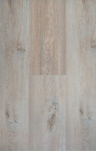 Изображение товара Ламинат Kastamonu Floorpan Sunfloor Дуб миланский (SF32Т-02)