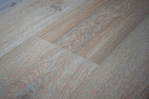 Изображение товара Ламинат Kastamonu Floorpan Sunfloor Дуб миланский (SF32Т-02)