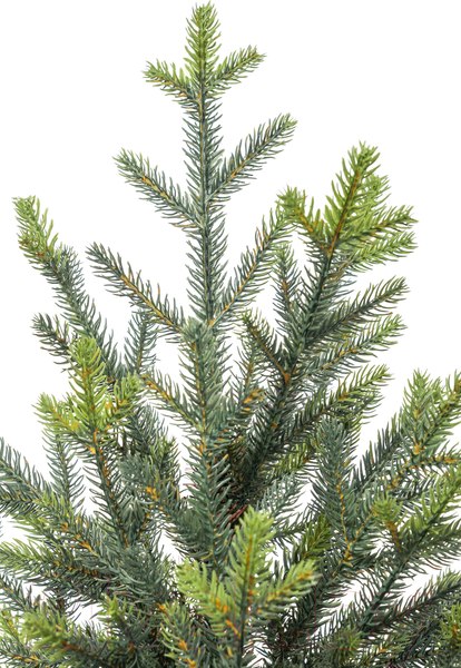 Изображение товара Ель искусственная Winter Time 150 / BAA05-1534T