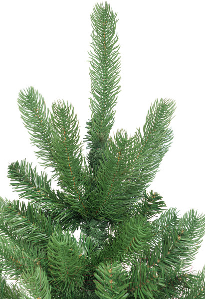 Изображение товара Ель искусственная Winter Time 180 / WHU06-1138T