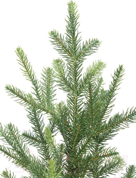 Изображение товара Ель искусственная Winter Time 180 / EB06-1806T