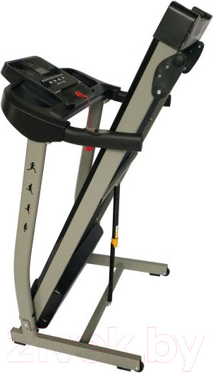 Изображение товара Электрическая беговая дорожка DFC Lavita / T350