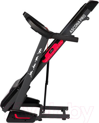 Изображение товара Электрическая беговая дорожка DFC Ascona Pro / T640