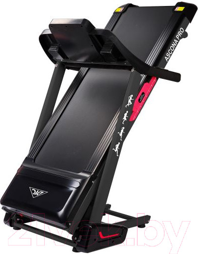 Изображение товара Электрическая беговая дорожка DFC Ascona Pro / T640