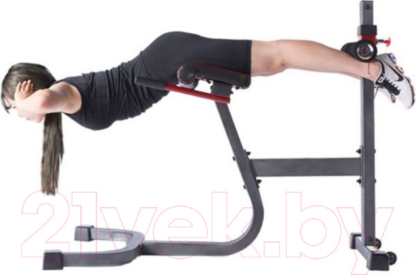 Изображение товара Гиперэкстензия DFC SUB3013RC