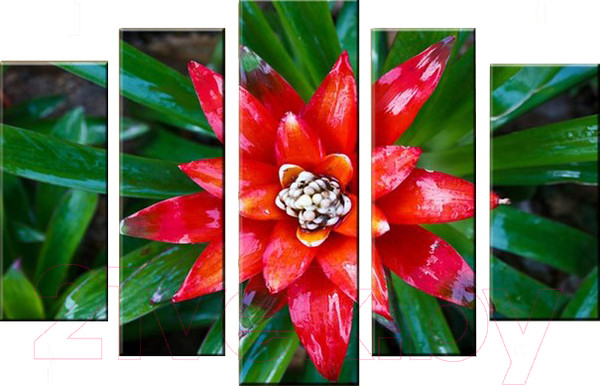 Изображение товара Картина модульная Arthata 5m-001 (105x60)