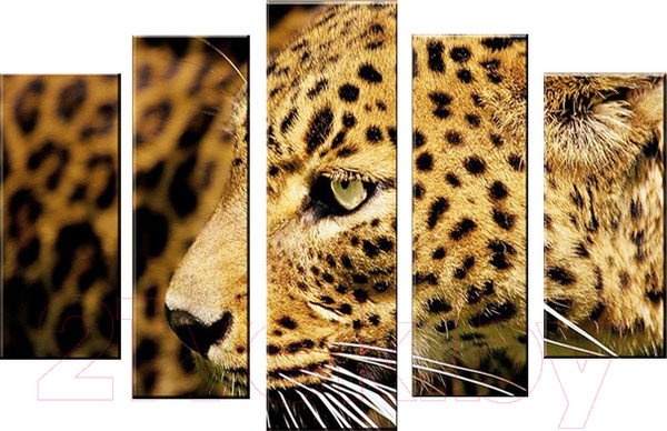 Изображение товара Картина модульная Arthata 5m-005 (105x60)