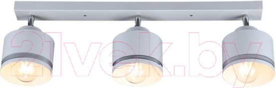 Изображение товара Спот Imex SP.025-53-80