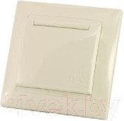 Изображение товара Розетка TDM Лама SQ1815-0126 (слоновая кость)