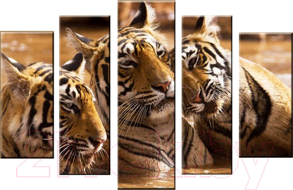 Изображение товара Картина модульная Arthata 5m-023 (130x80)