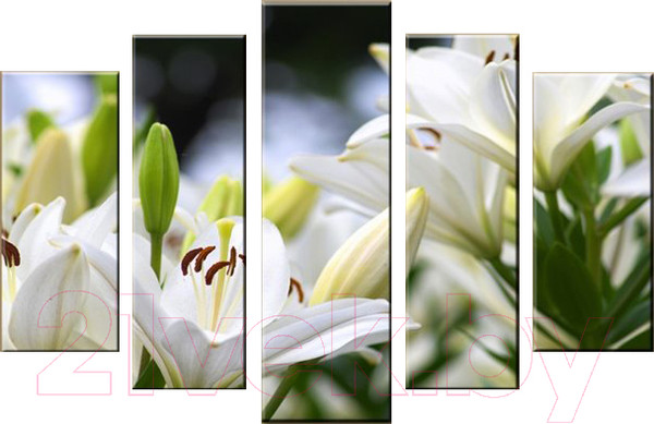 Изображение товара Картина модульная Arthata 5m-026 (105x60)