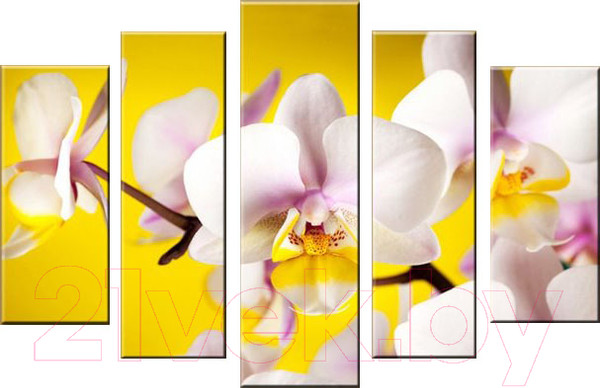 Изображение товара Картина модульная Arthata 5m-029 (130x80)