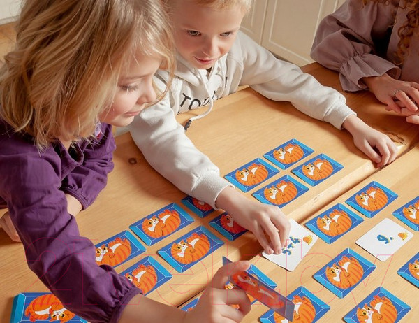 Изображение товара Развивающая игра Brainy Games Кот + счет / УМ517