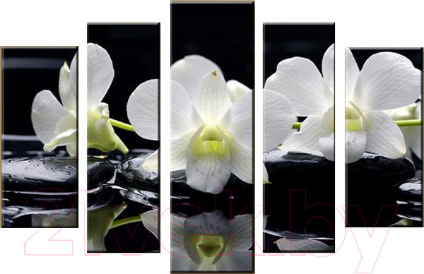 Изображение товара Картина модульная Arthata 5m-036 (160x90)