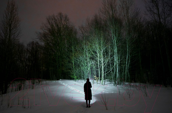 Изображение товара Фонарь Armytek Wizard C2 Pro Nichia Magnet USB/ F06801W (Теплый)