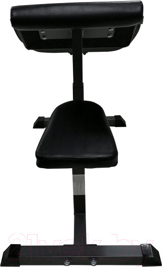 Изображение товара Скамья Скотта DFC Homegym UB008