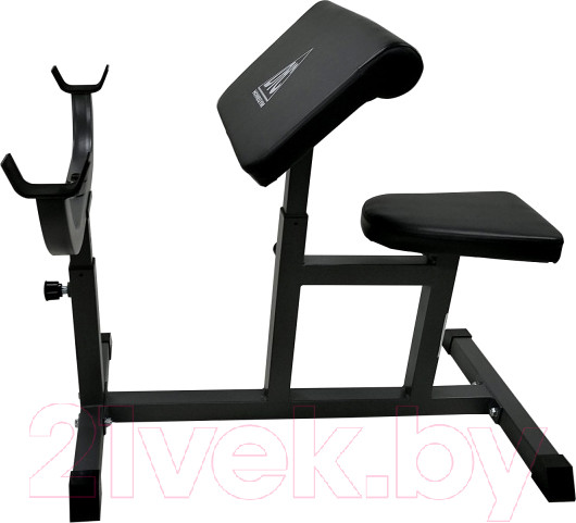 Изображение товара Скамья Скотта DFC Homegym UB008