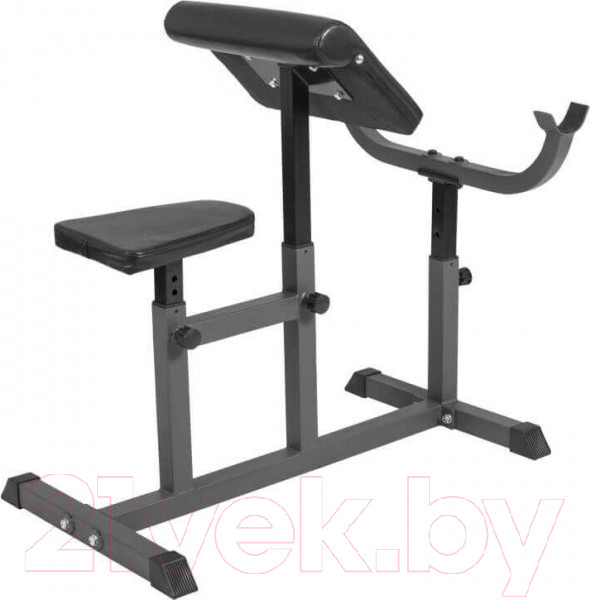 Изображение товара Скамья Скотта DFC Homegym UB008