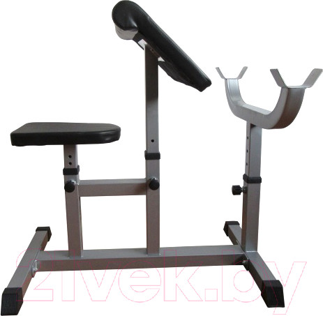 Изображение товара Скамья Скотта DFC UB007