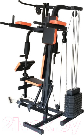 Изображение товара Силовой тренажер DFC D7002