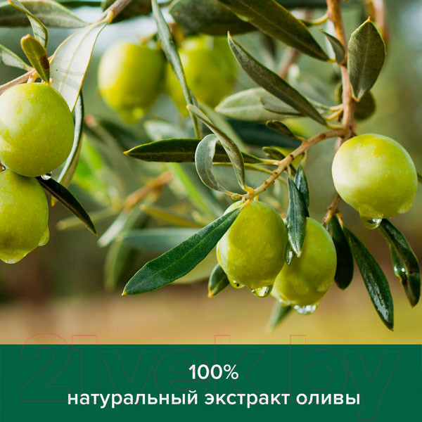Изображение товара Гель для душа Palmolive Натурэль Интенсивное увлажнение. Олива и Увлажняющее молочко (250мл)