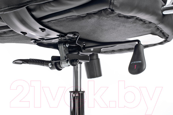 Изображение товара Кресло офисное Mio Tesoro Тероль AF-C7681 (черный)