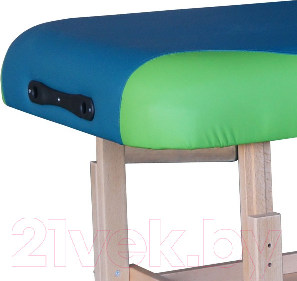 Изображение товара Массажный стол DFC Nirvana Superior / TS200 (бирюзовый)