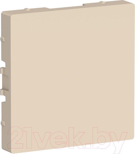 Изображение товара Декоративная заглушка для розетки Systeme (Schneider) Electric AtlasDesign ATN000209