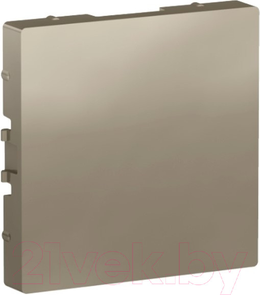 Изображение товара Декоративная заглушка для розетки Systeme (Schneider) Electric AtlasDesign ATN000509