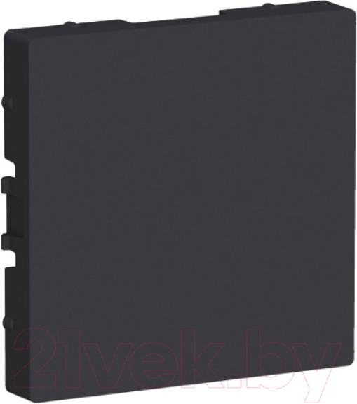 Изображение товара Декоративная заглушка для розетки Systeme (Schneider) Electric AtlasDesign ATN001009