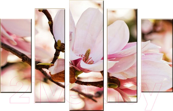 Изображение товара Картина модульная Arthata 5m-060 (160x90)