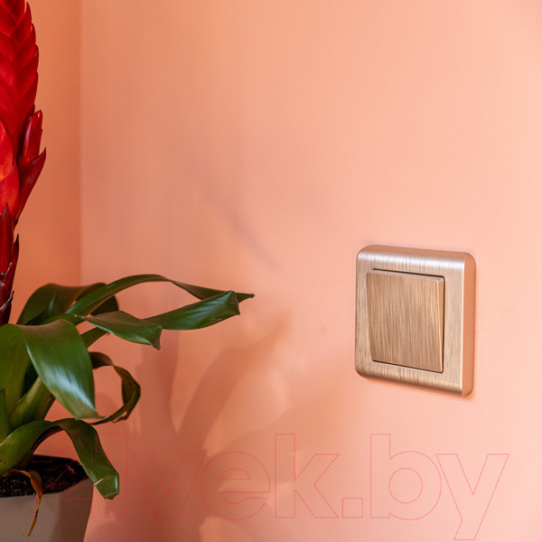 Изображение товара Рамка для выключателей и розеток Werkel W0012111 / a051284 (шампань)