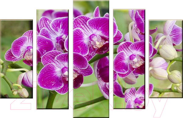 Изображение товара Картина модульная Arthata 5m-055 (160x90)