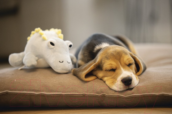 Изображение товара Игрушка для собак Beeztees Динозавр Vince / 619140