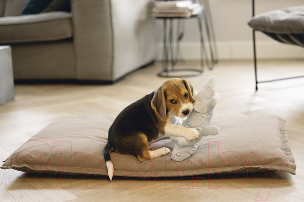 Изображение товара Игрушка для собак Beeztees Динозавр Vince / 619140