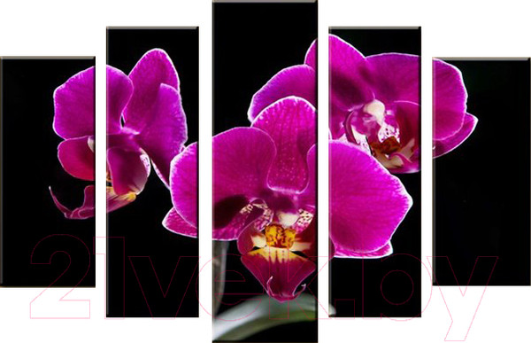 Изображение товара Картина модульная Arthata 5m-068 (105x60)