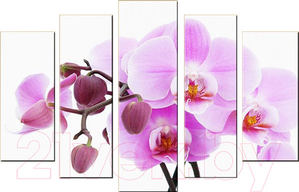 Изображение товара Картина модульная Arthata 5m-072 (160x90)