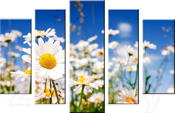 Изображение товара Картина модульная Arthata 5m-088 (160x90)