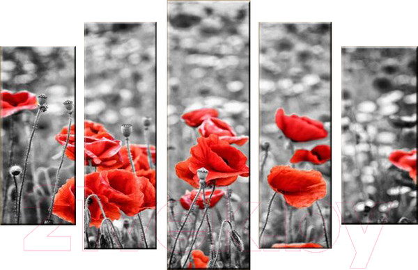 Изображение товара Картина модульная Arthata 5m-090 (160x90)