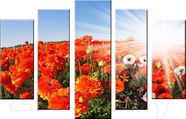 Изображение товара Картина модульная Arthata 5m-092 (105x60)