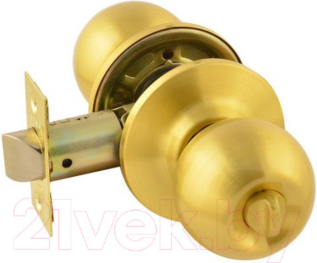 Изображение товара Ручка дверная Нора-М ЗШ-03 (матовое золото)