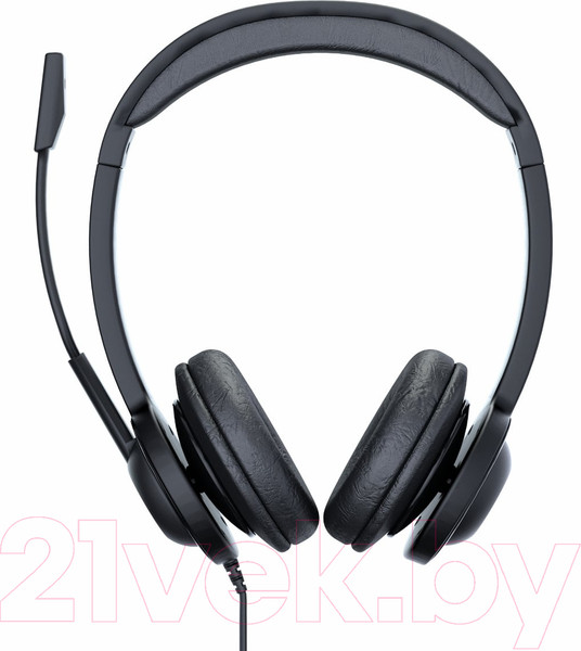 Изображение товара Наушники-гарнитура Accutone UB210 USB