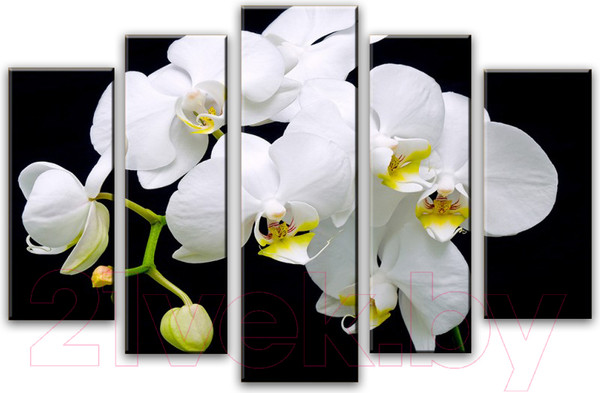 Изображение товара Картина модульная Arthata 5m-107 (130x80)