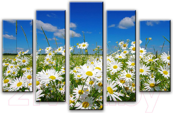 Изображение товара Картина модульная Arthata 5m-108 (160x90)